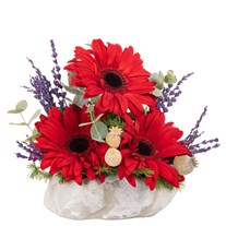 Mini Ruby Gerbera Aranjmanı
