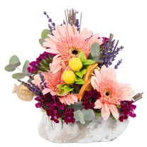 Mini Blush Gerbera Hüsnüyusuf
