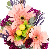 Mini Blush Gerbera Hüsnüyusuf