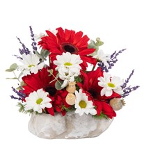 Mini Ruby Gerbera Papatya
