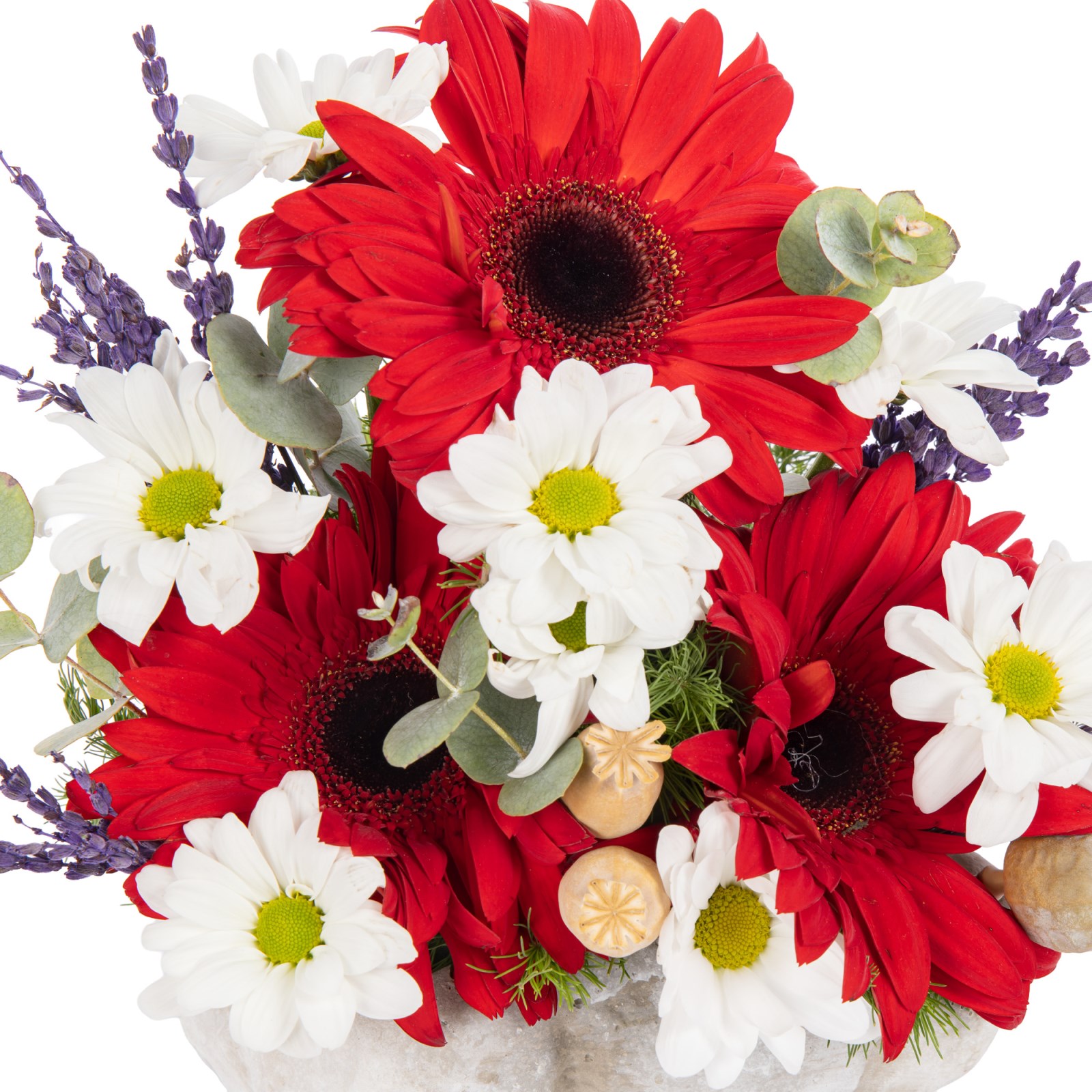 Mini Ruby Gerbera Papatya