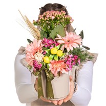 Pastel Dream Kalanşo Gerbera