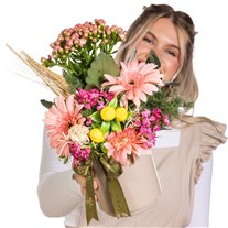 Pastel Dream Kalanşo Gerbera