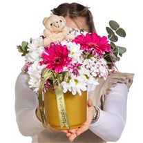 Sweet Bear Gerbera Papatyalar