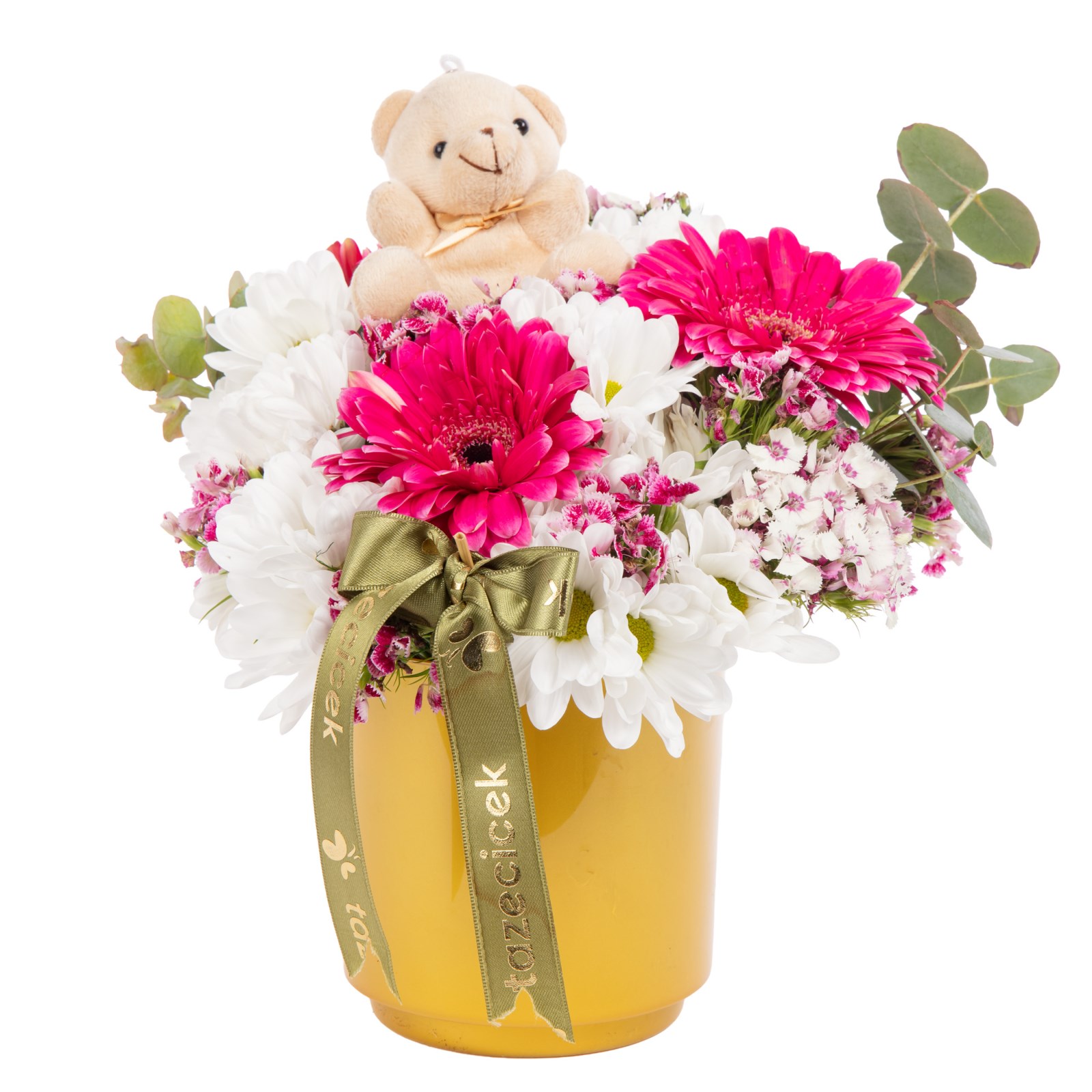 Sweet Bear Gerbera Papatyalar
