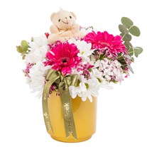Sweet Bear Gerbera Papatyalar