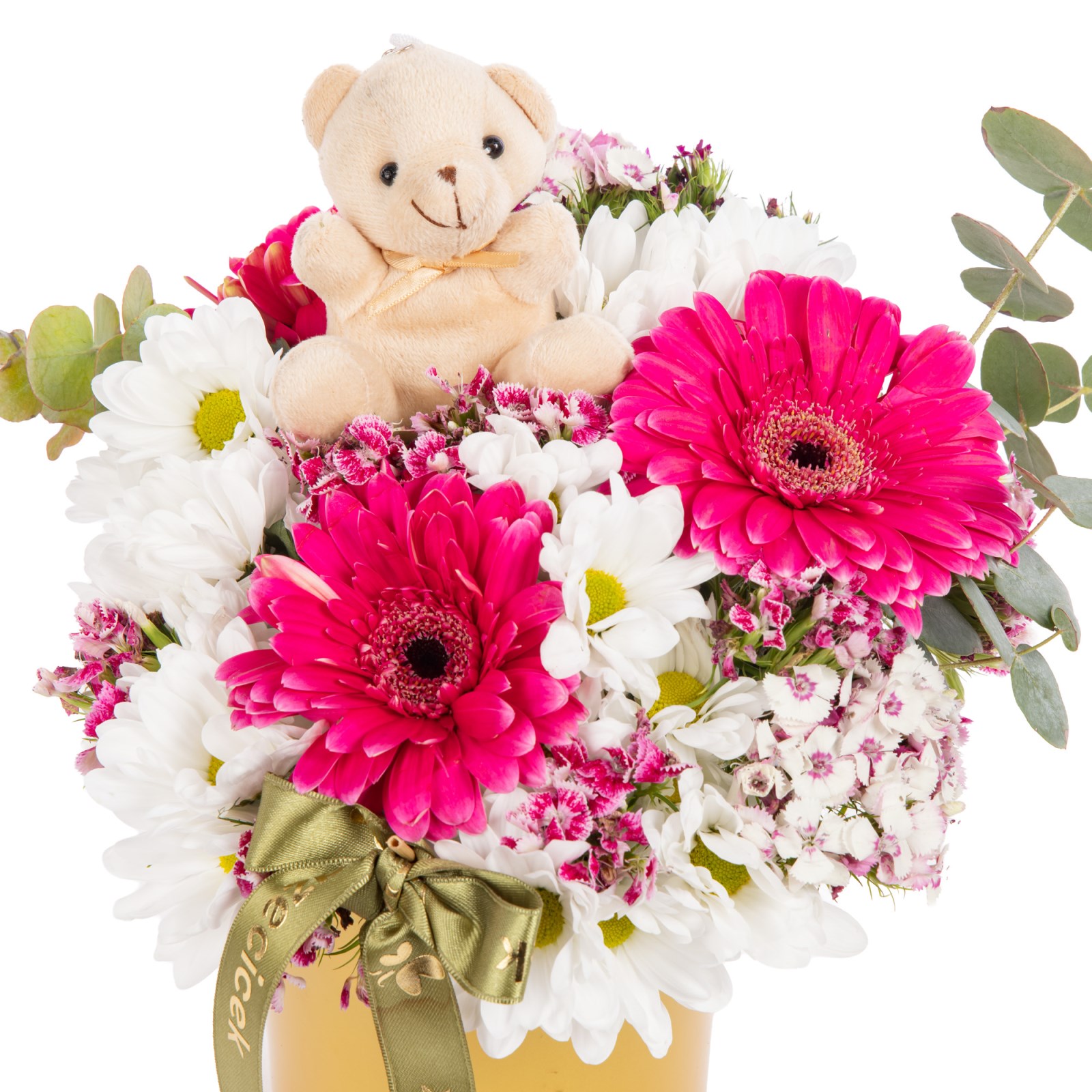 Sweet Bear Gerbera Papatyalar