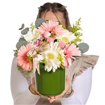 Peach Whisper Gerbera Vazosu
