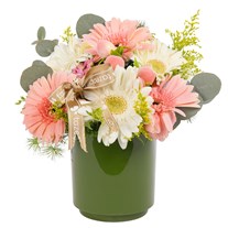 Peach Whisper Gerbera Vazosu