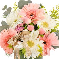 Peach Whisper Gerbera Vazosu
