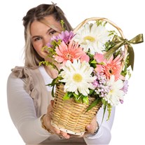 Pastel Harmony Gerbera Sepeti