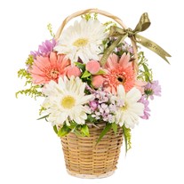Pastel Harmony Gerbera Sepeti