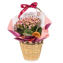 Pink Charm Kalanşo Sepeti