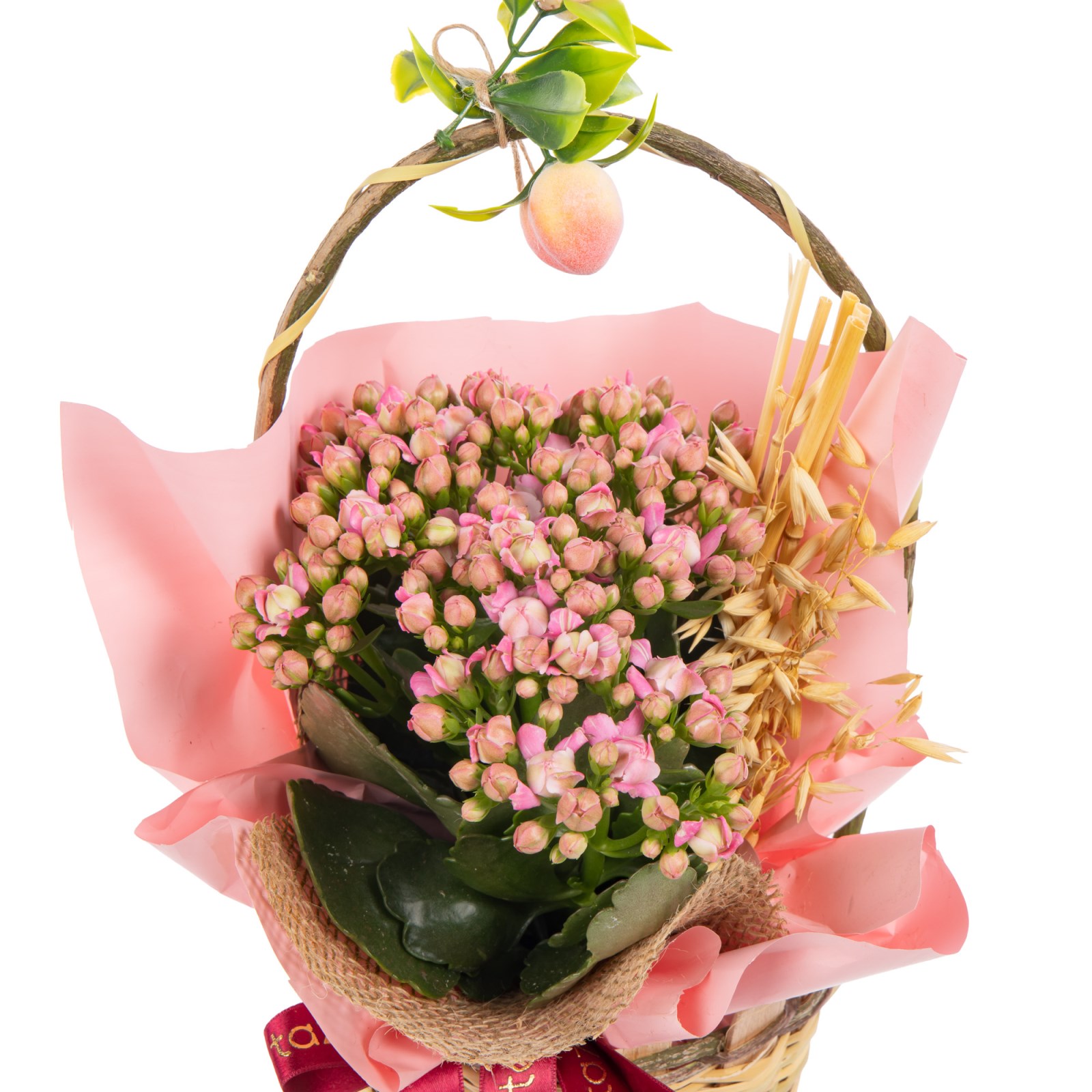 Butterfly Peach Pink Kalanşo Sepeti