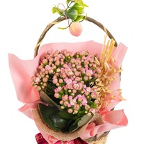 Butterfly Peach Pink Kalanşo Sepeti