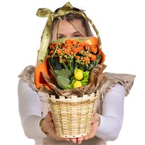 Tangerine Tango Kalanşo Sepeti