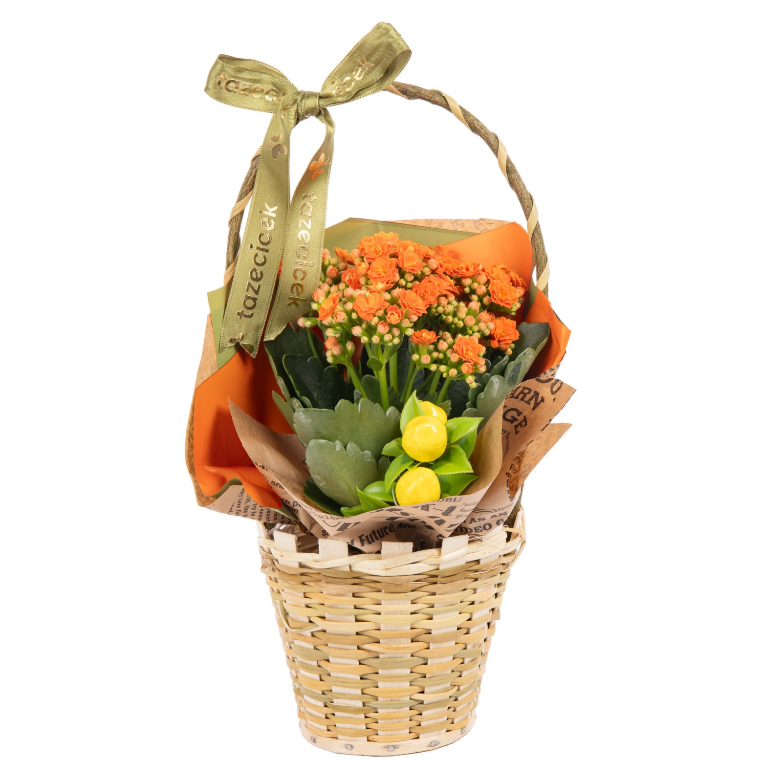 Tangerine Tango Kalanşo Sepeti