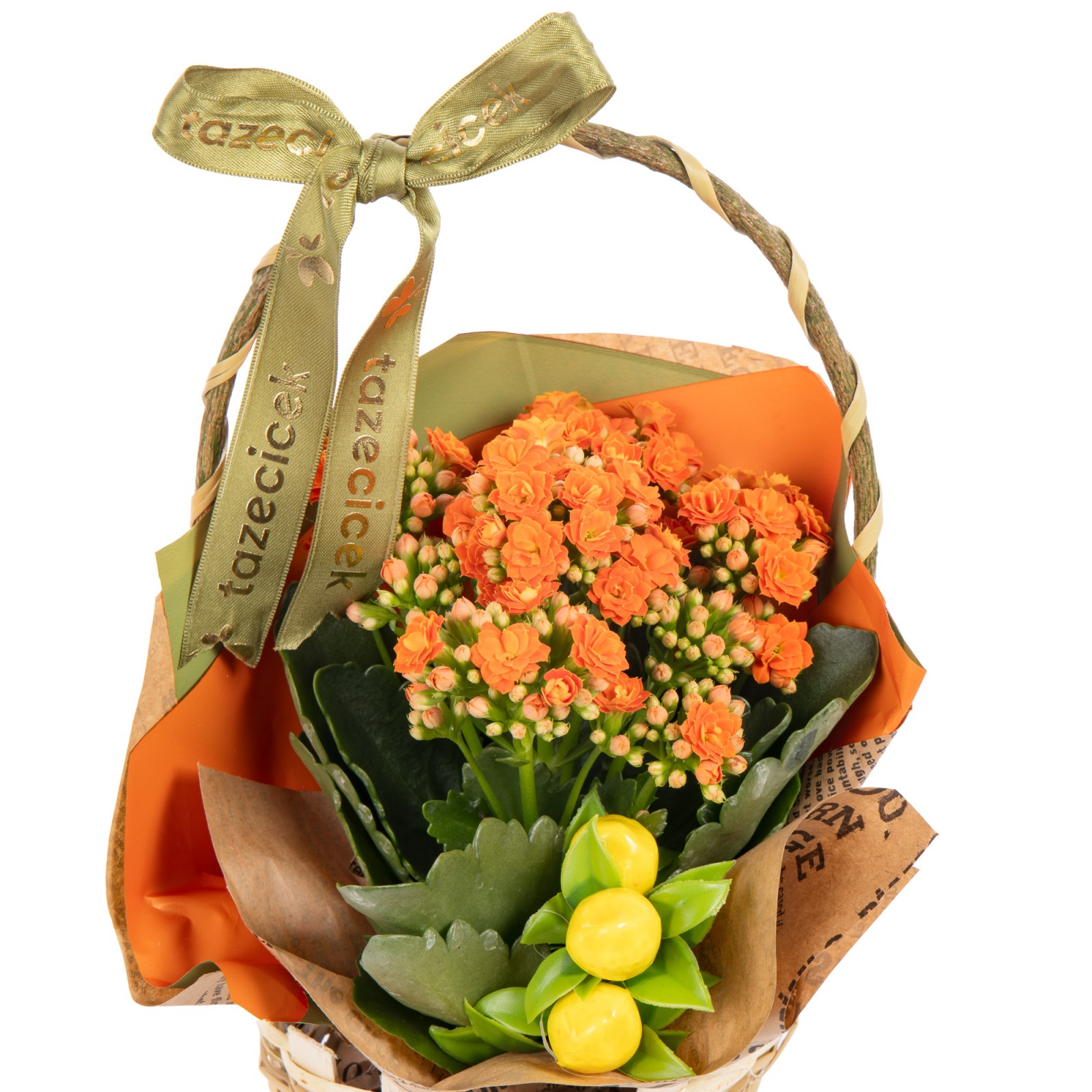Tangerine Tango Kalanşo Sepeti