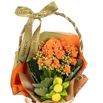 Tangerine Tango Kalanşo Sepeti