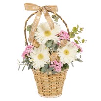 Opal Whisper Gerbera Sepeti