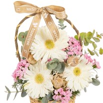 Opal Whisper Gerbera Sepeti