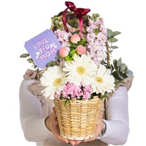 Mother's Love Gerbera Şebboy Sepeti