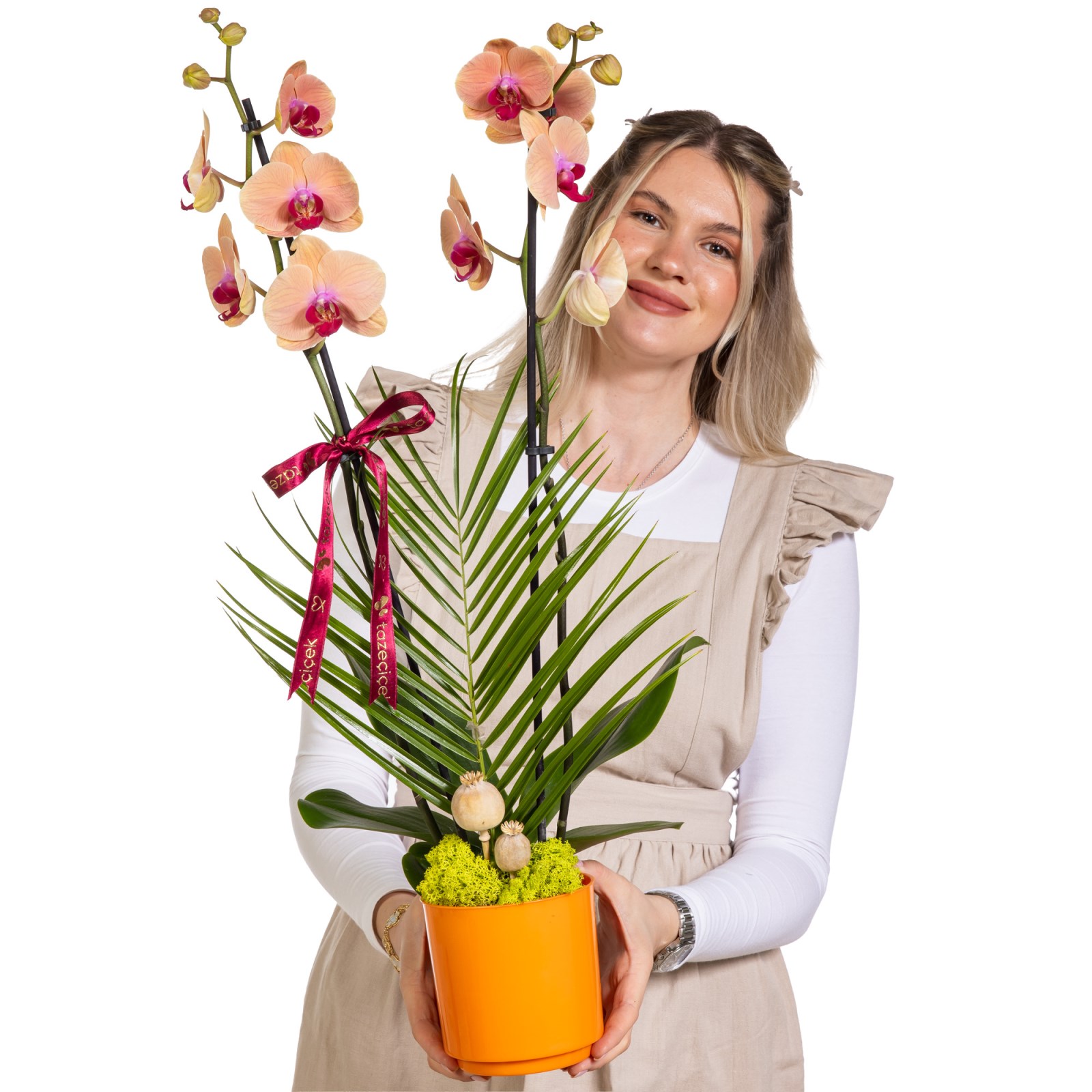 Peach Elegance Çift Dallı Orkide