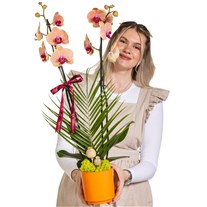 Peach Elegance Çift Dallı Orkide