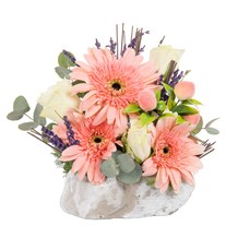 Mini Coral Dream Gerbera Aranjmanı