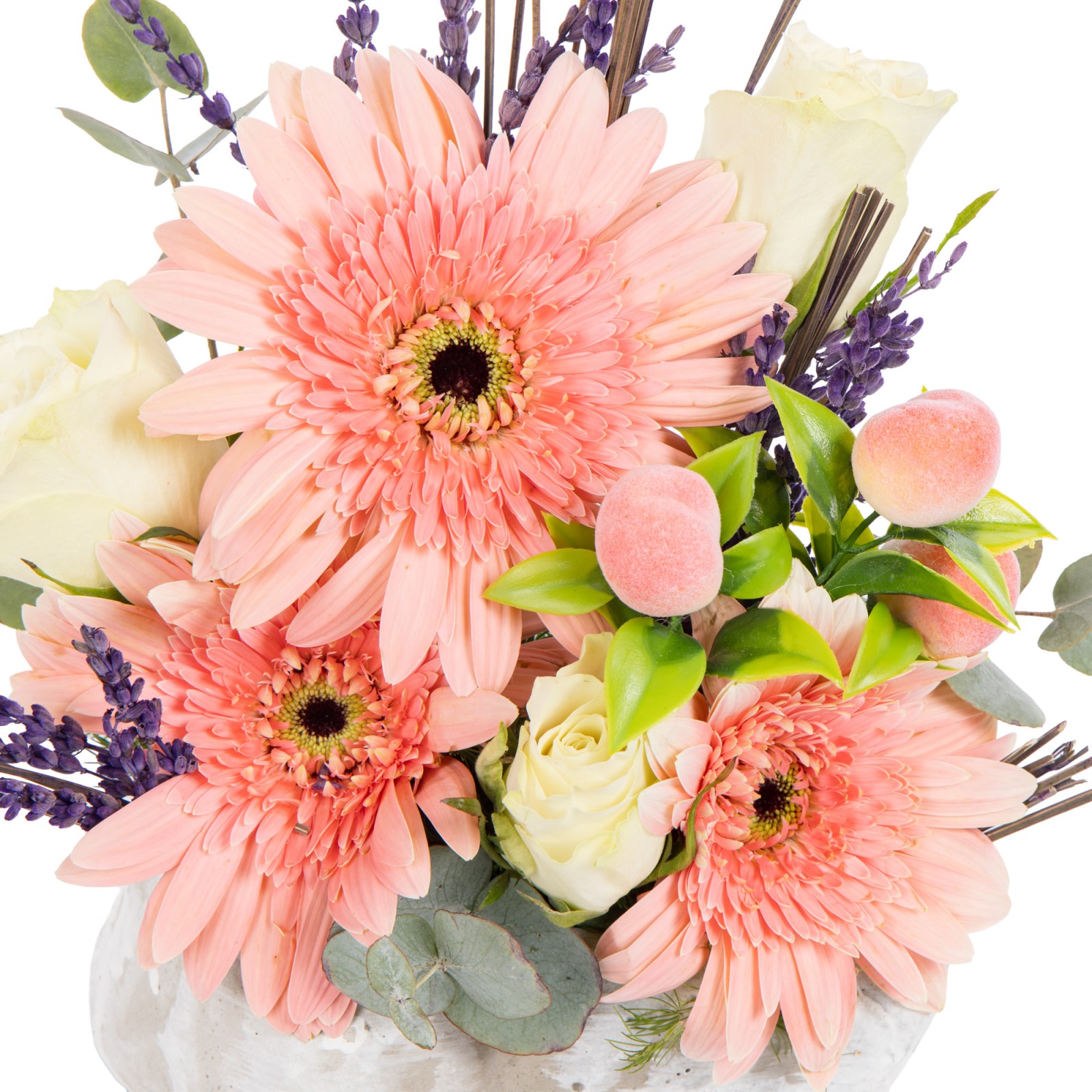 Mini Coral Dream Gerbera Aranjmanı