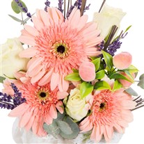 Mini Coral Dream Gerbera Aranjmanı