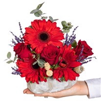 Mini Crimson Fire Gül Aranjmanı