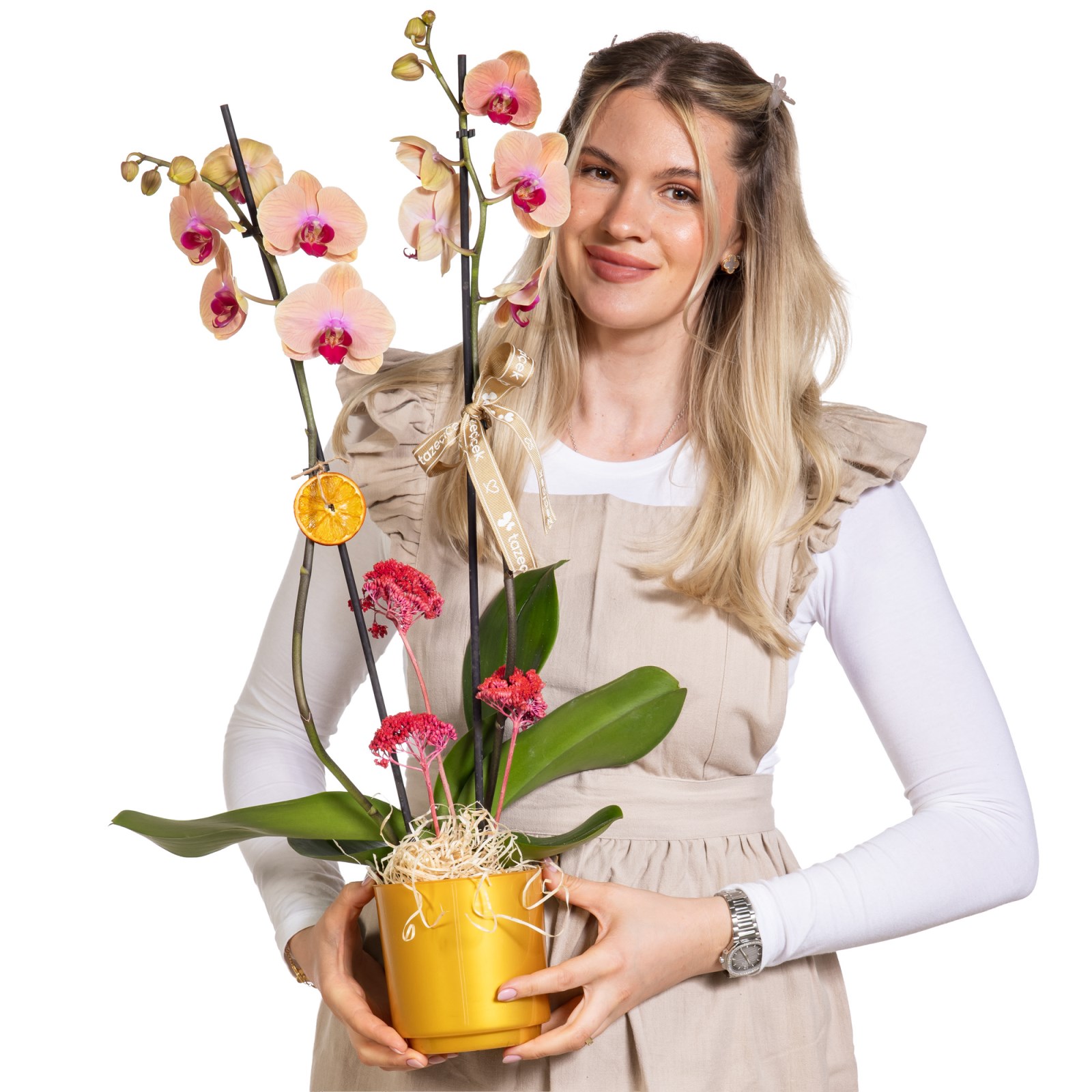 Peach Glow Çift Dallı Orkide