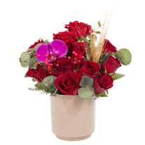 Royal Orchid Kırmızı Gül Vazosu