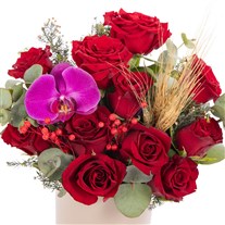 Royal Orchid Kırmızı Gül Vazosu