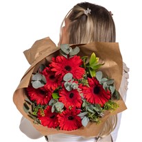 Cherry Jam Kırmızı Gerbera Buketi