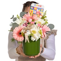 Citrus Super Anne Gerbera Vazosu