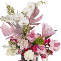 Blossom Charm Orkide Aranjmanı