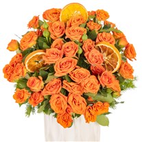 Citrus Sensation Çardak Güller
