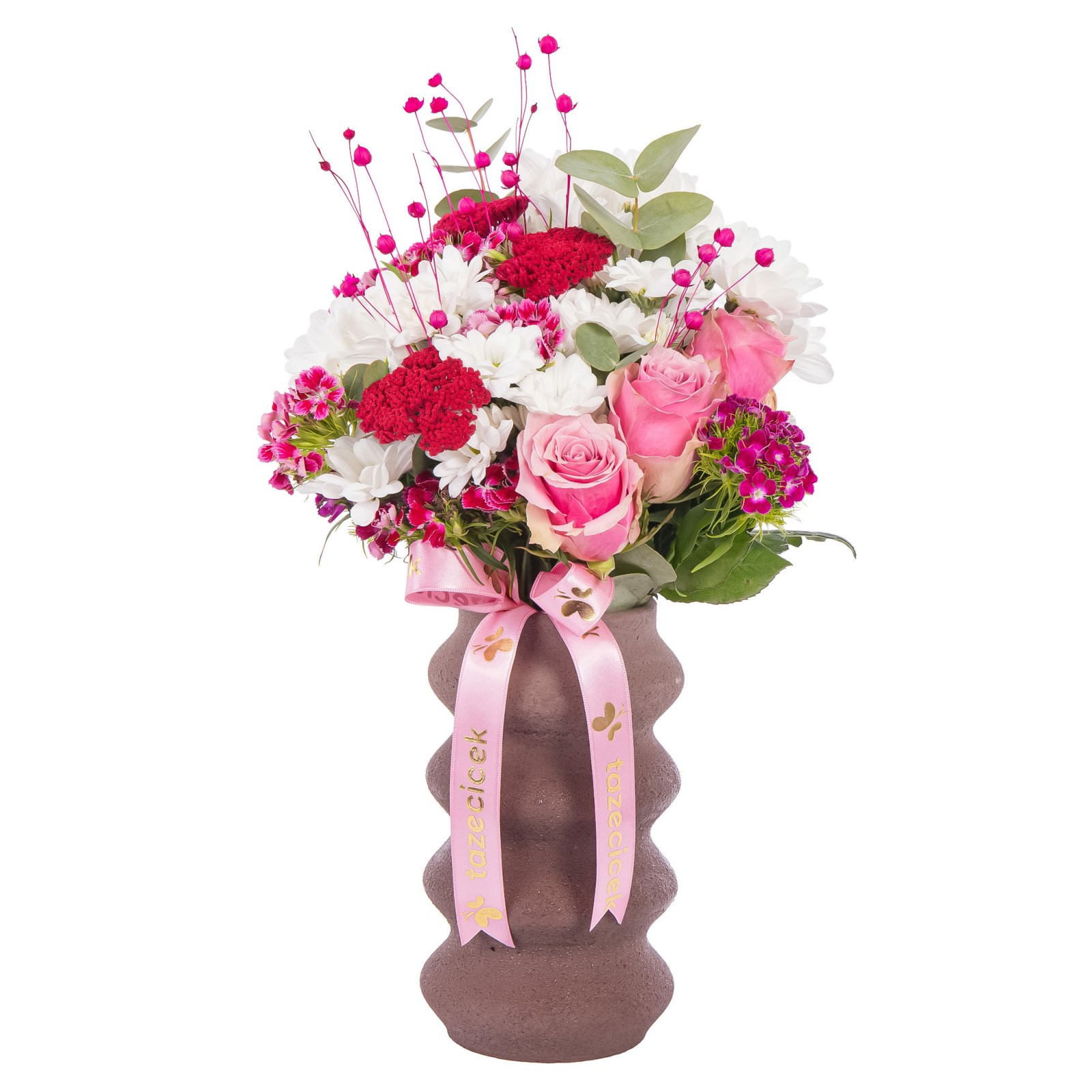 Magenta Harmony Papatyalar