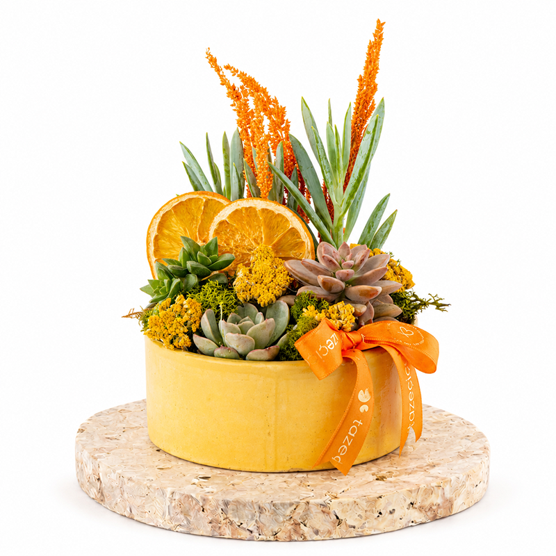 Mini Forest Teraryum