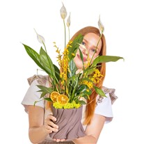 Citrus Peace Spatifilyum