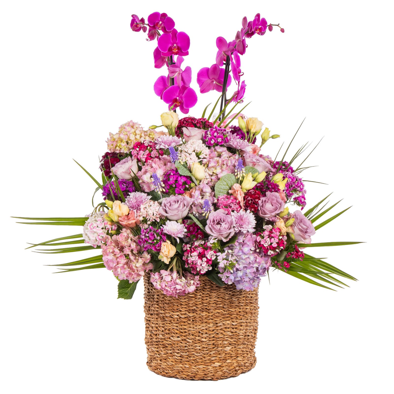 Blossom Symphony Premium Orkide Sepeti