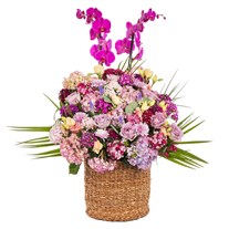 Blossom Symphony Premium Orkide Sepeti