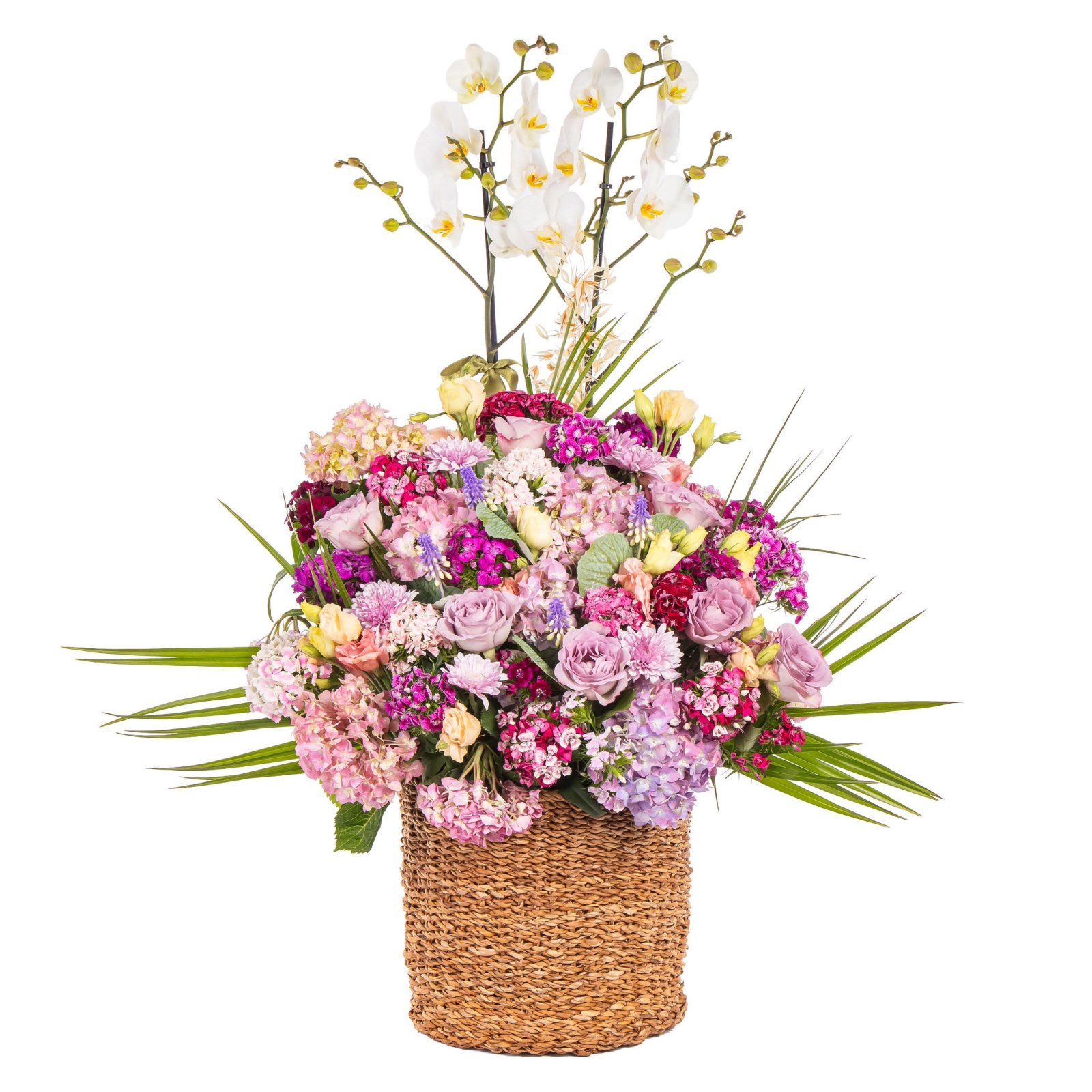 White Cascade Premium Orkide Sepeti