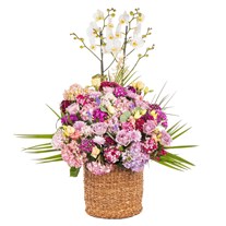 White Cascade Premium Orkide Sepeti
