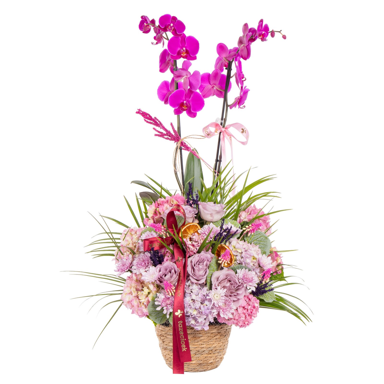 Fuchsia Glow Premium Orkide Sepeti