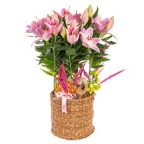 Majestic Aura Premium Lilyum Sepeti