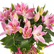 Majestic Aura Premium Lilyum Sepeti