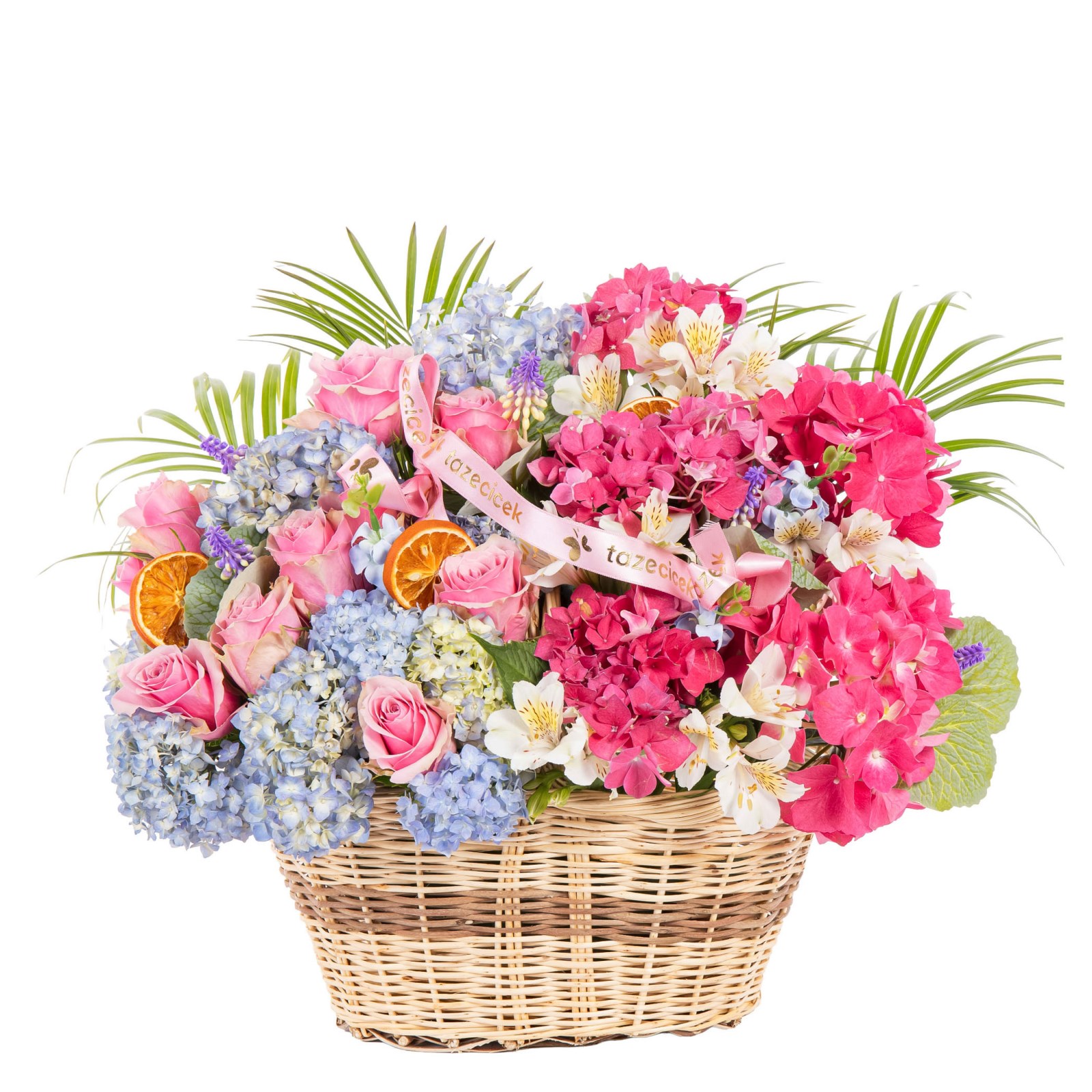 Pastel Carousel Premium Tasarım